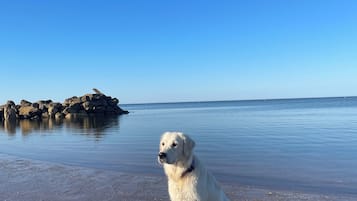 Beach nearby