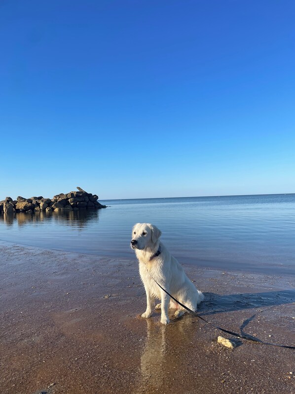 Playa en los alrededores 