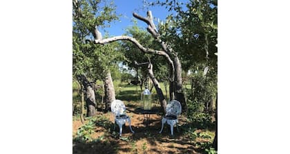 Life on the Ridge, 51 acres of Ranch Living.