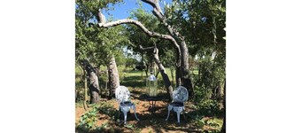 Life on the Ridge, 51 acres of Ranch Living.