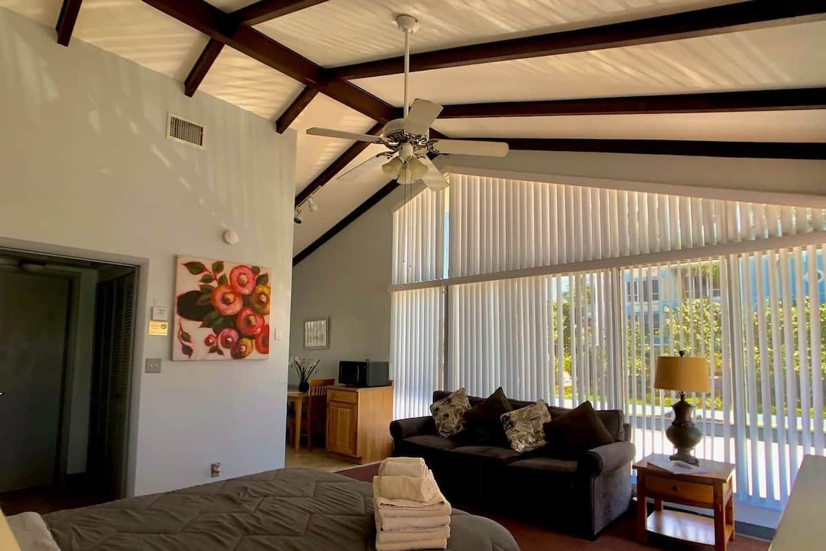 Superior Studio, Poolside | 1 bedroom, individually decorated, individually furnished, free WiFi