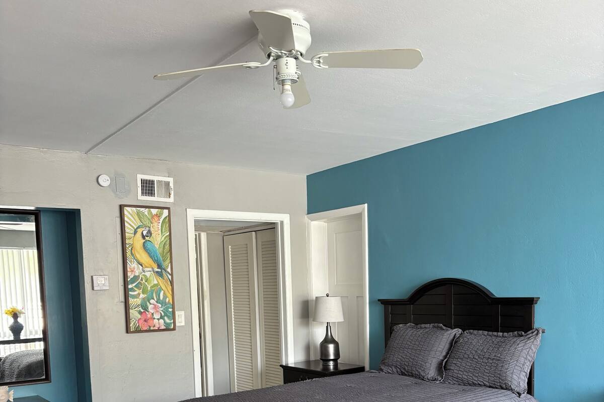 A bedroom with a bed, a ceiling fan, a nightstand, a lamp, a chair, and a door.