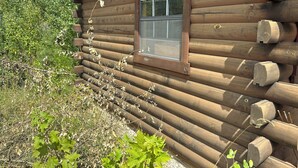 A log cabin with a window and a door, surrounded by natural vegetation. - Log Cabin Sleeps four (Big Rapids)