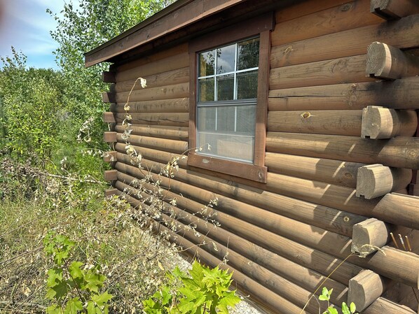 Exterior detail - Log Cabin Sleeps four (Big Rapids)