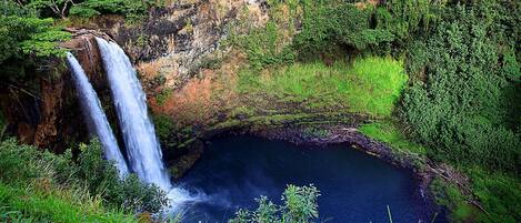 Ein Wasserfall stürzt in ein dunkles Becken, umgeben von üppigem Grün.