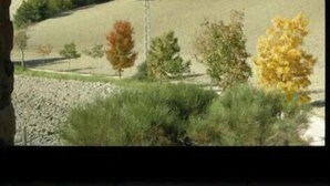 A view from a window overlooking a hilly landscape with trees and a power line. - I Girasoli - Red apartment (San Marcello, Camerino)