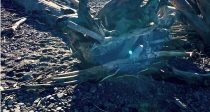 Piper Haus Chalet Unit 2