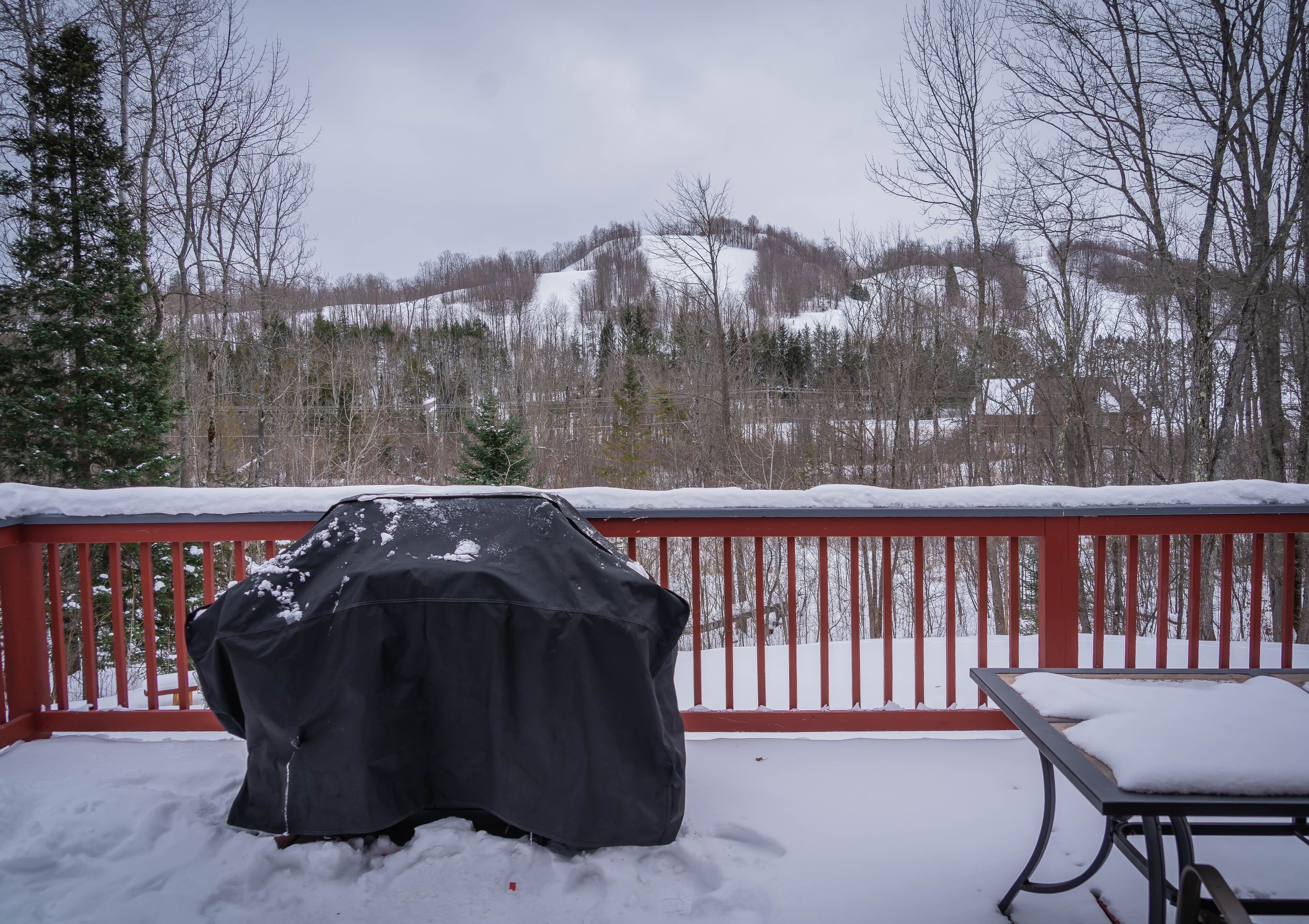 Un barbecue abrité sur une terrasse enneigée, avec une rambarde rouge et une table recouverte de neige, offrant une vue sur un paysage hivernal avec des arbres et des collines.