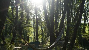 Una hamaca en un bosque, con luz del sol filtrándose entre los árboles.