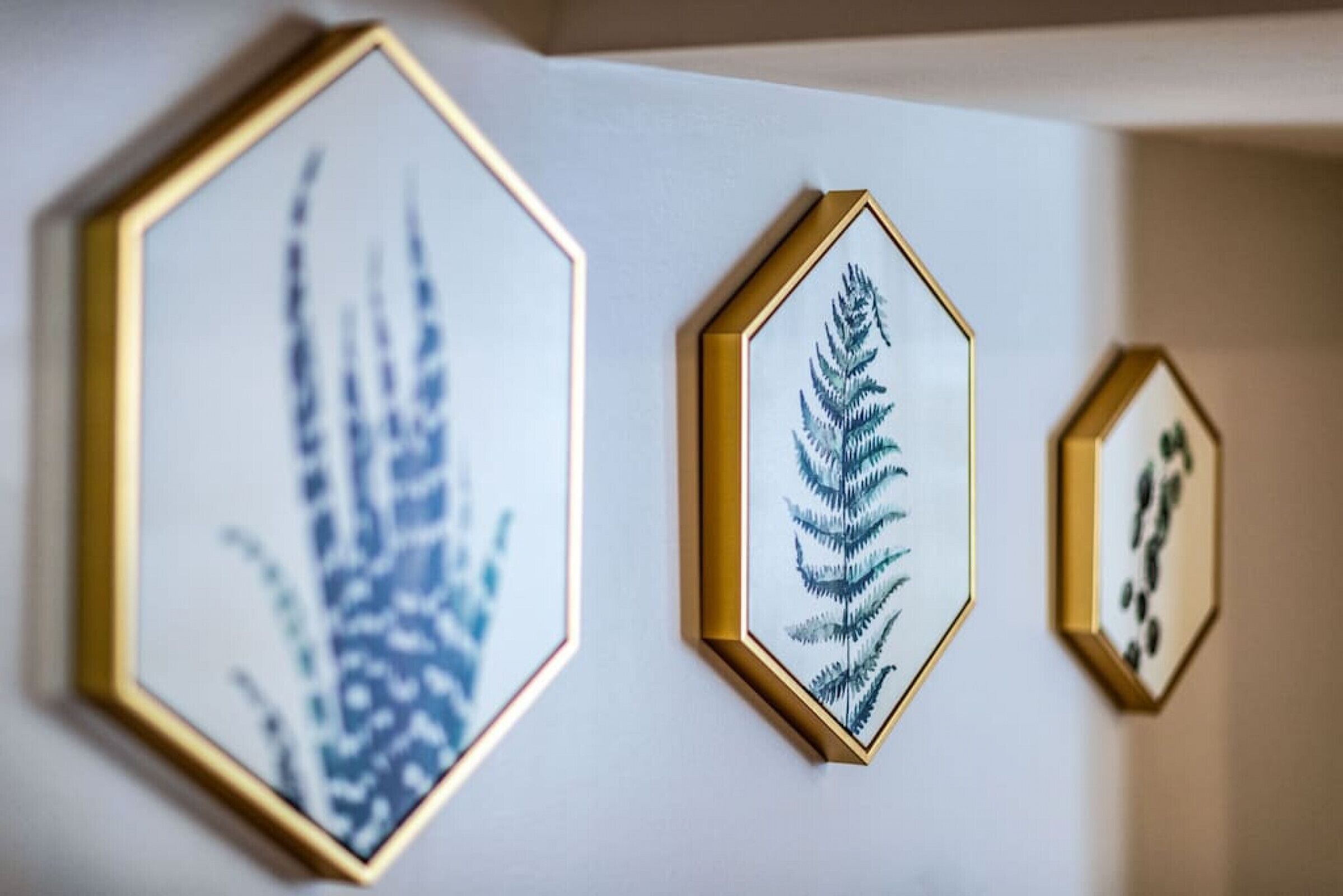 Three framed botanical prints on a wall.
