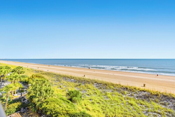 A beach with a clear view of the ocean, a sandy shore, and some greenery in the foreground.
