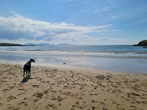 Beach - Spring Tide : Refurbished 4‑Bed Family Home with Garden in Rhosneigr | Managed by Anglesey Holiday L (Rhosneigr)