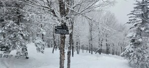 Overnatningsstedets område