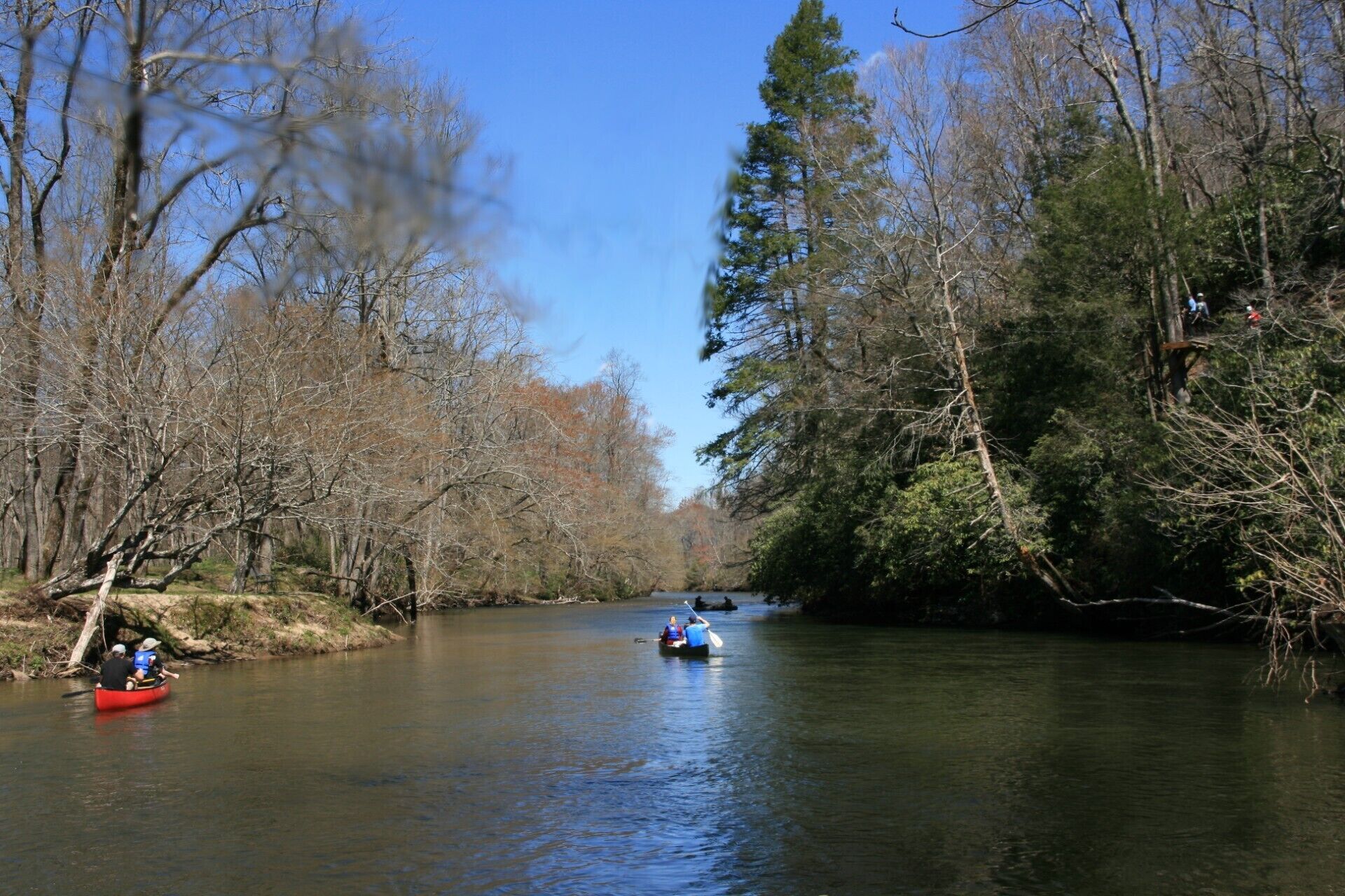 Cabin with two trout rivers onsite. Brevard and Pisgah National Forest close by.