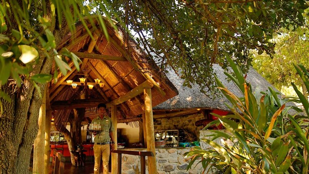 A rustic wooden structure with a thatched roof, surrounded by lush greenery.