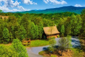 Unclassified image, 2 of 57, button