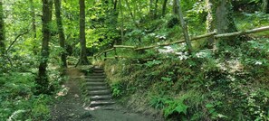 Property grounds - fully-renovated 4* gite with character, beaches and shops within walking distance. (Trégastel)