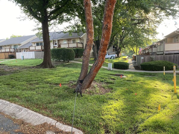 Property grounds