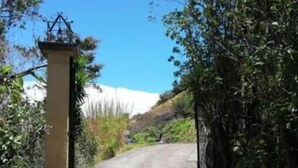 Una strada asfaltata che conduce a un cancello con un pilastro in pietra, immersa nel verde e sotto un cielo sereno.