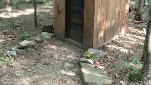 A small wooden shed in a forest. - Primitive Cabin in the woods. A place to unplug, unwind, and relax! (Parthenon)