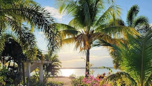 Escena de playa con palmeras, un sendero y vista al mar.