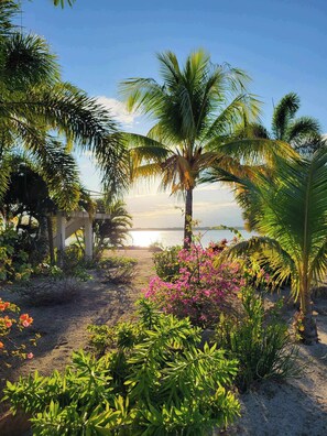 A beach scene with palm trees, a pathway, and a view of the sea.
