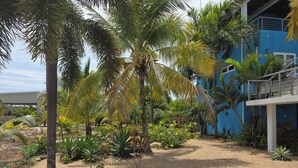 Un jardín con palmeras, un edificio azul y un camino de arena.
