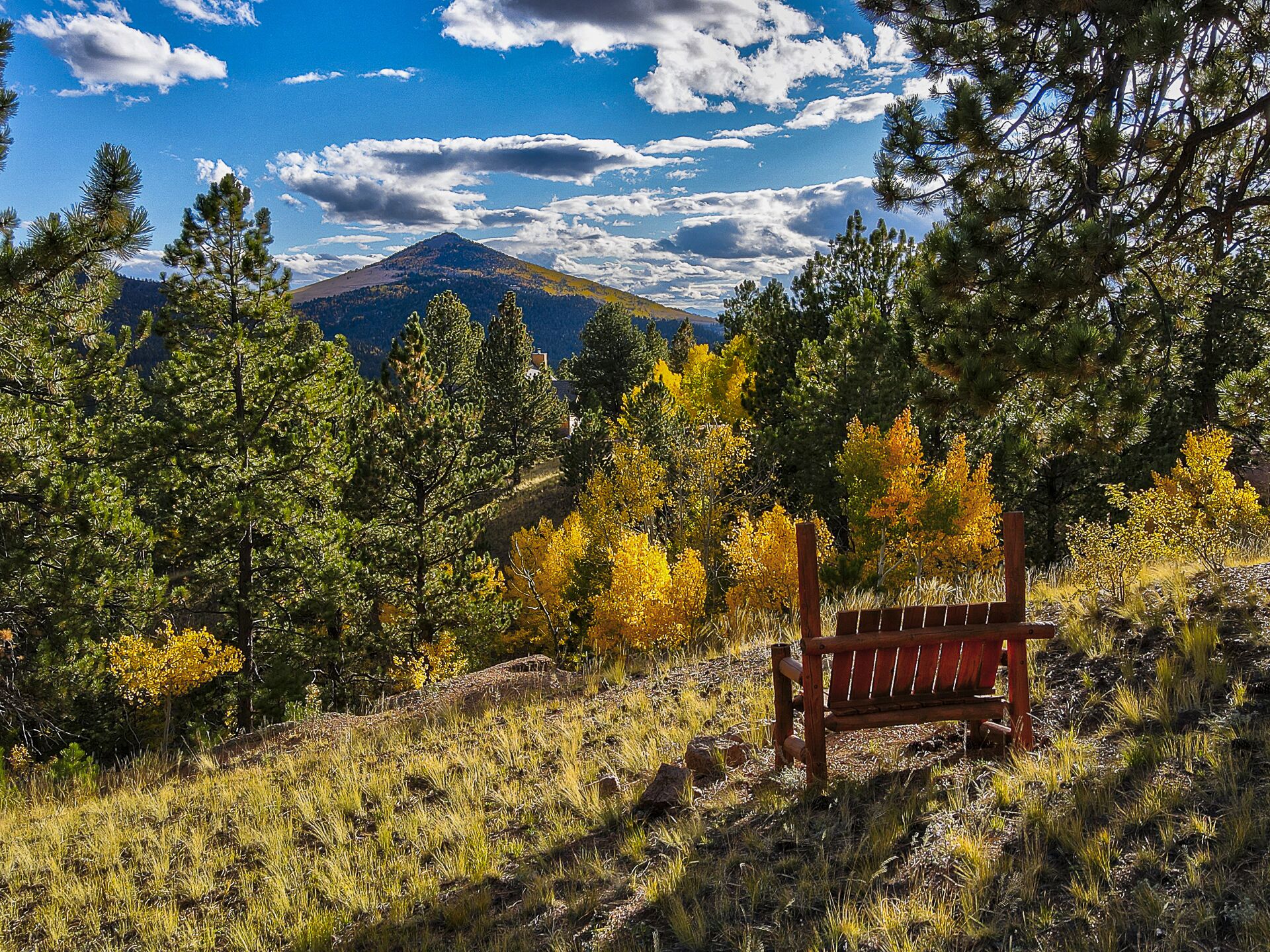 A bench in a natural setting with trees and a mountain in the background.