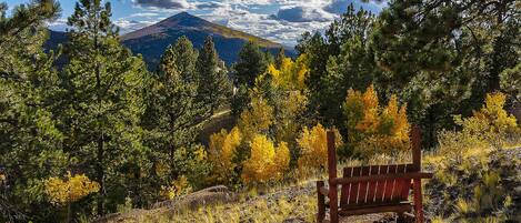 A bench in a natural setting with trees and a mountain in the background.
