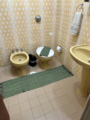 Chuveiro, secador de cabelo, toalhas de banho, papel higiênico