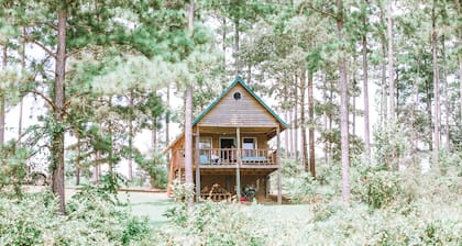 Rustic Cabin Overlooking Private 48 acre Bass Fishing Lake