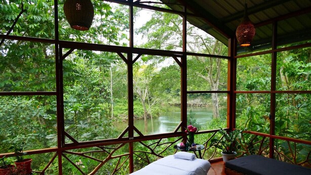 Una habitación con ventanas amplias que dan a un bosque frondoso y un río. Hay dos camas con sábanas blancas y una mesita con un florero.