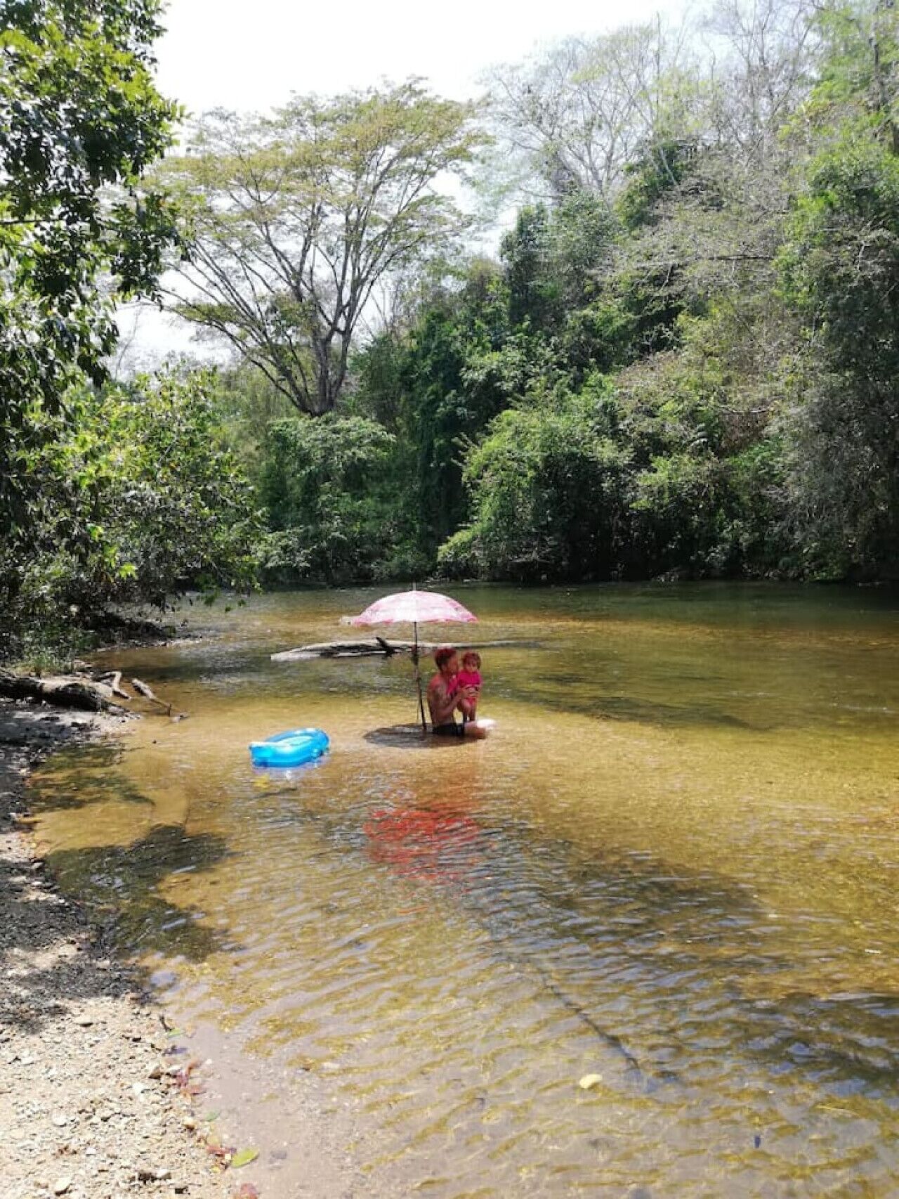 Un paysage naturel où l’on voit une personne tenant un parapluie près d’une étendue d’eau, le tout étant entouré d’une végétation luxuriante.