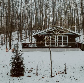 Exterior - Cozy cabin in wooded neighborhood - perfect Fall location  (Gaylord)