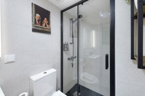 Dusche, Haartrockner, Handtücher