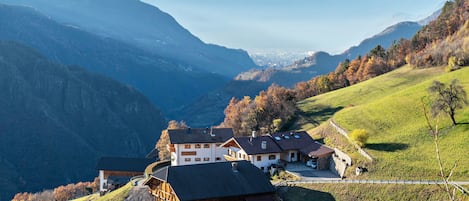 Esterni