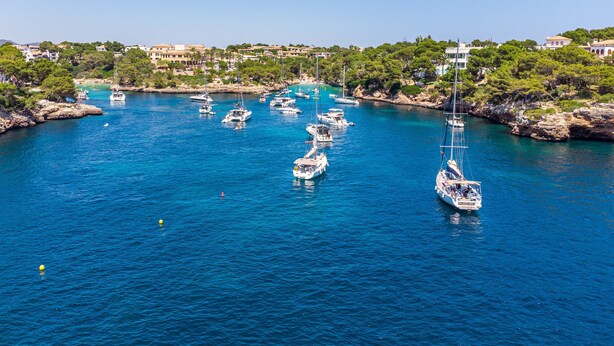 Un port de plaisance où sont amarrés de nombreux voiliers.