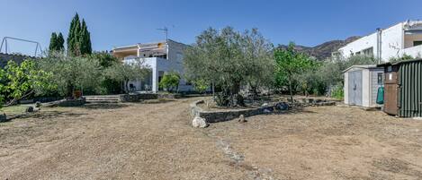 A residential area with a dirt ground, olive trees, and a white building with a balcony.