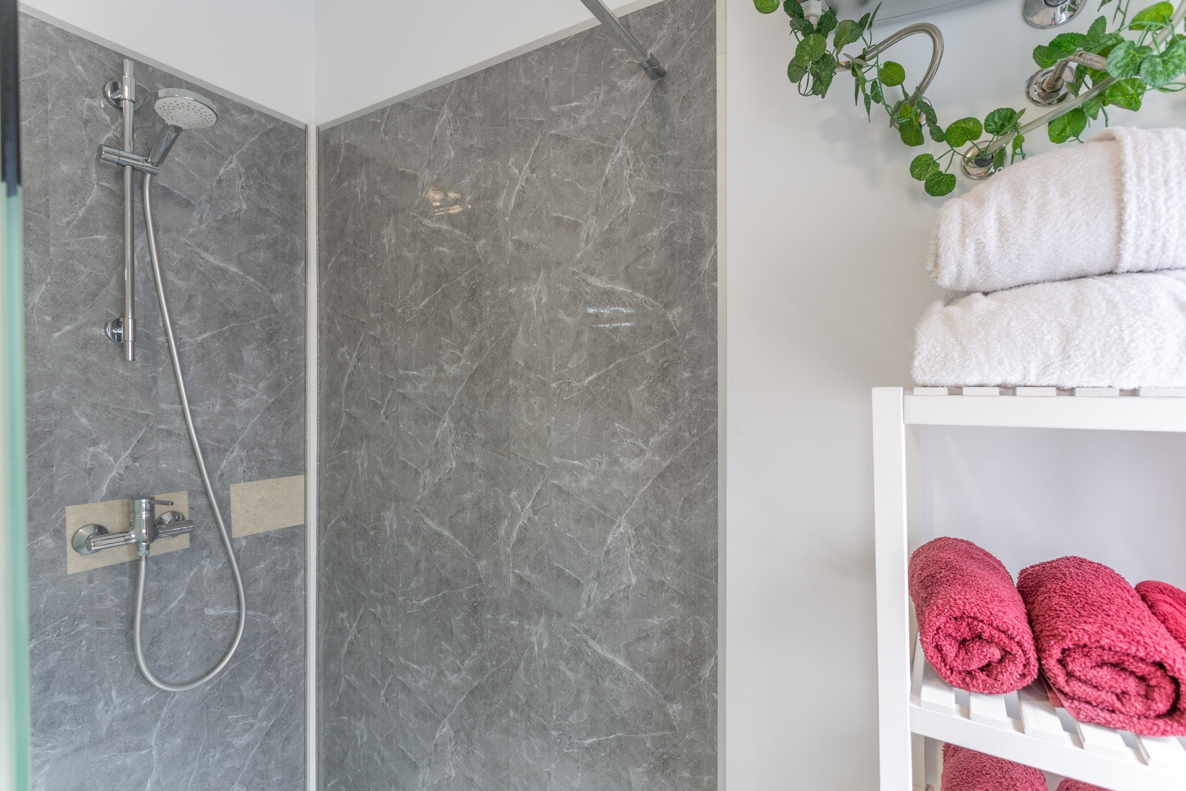 Shower, hair dryer, towels