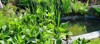 Vacation home Korn am Bärensteig - FH for max. 6 pers. Terrace + balcony,