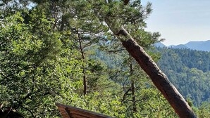 Un banco en un área boscosa con vistas despejadas de los árboles circundantes y montañas distantes.