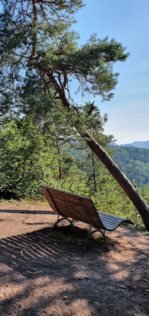 Unclassified image, 4 of 46, button