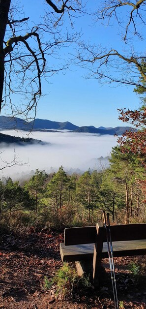 Unclassified image, 5 of 46, button