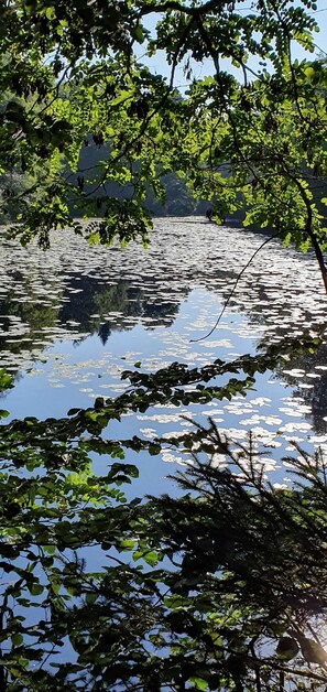 Unclassified image, 3 of 46, button