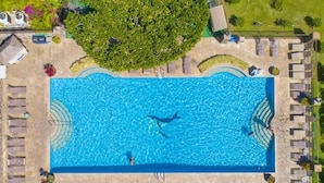 En vy från ovan av en rektangulär swimmingpool med en delfin, omgiven av solstolar och ett välskött område med planteringar.
