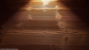 Un suelo de madera con una fuente de luz que proyecta sombras.