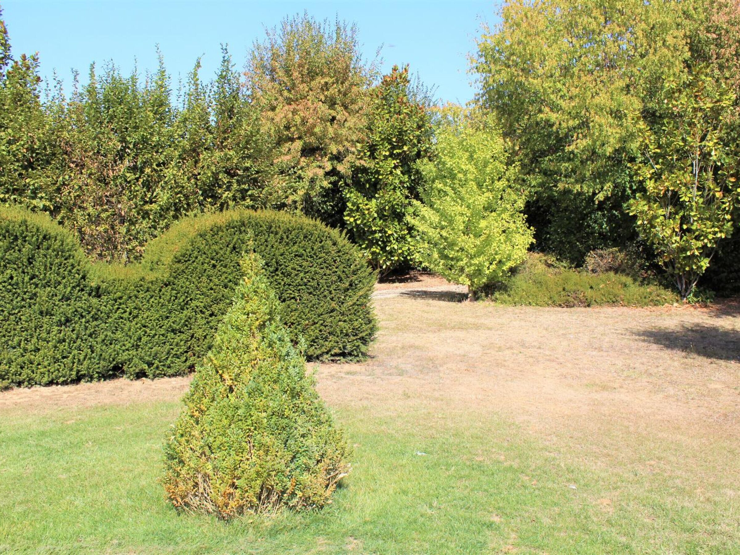 A well-maintained garden with neatly trimmed hedges and a variety of trees.