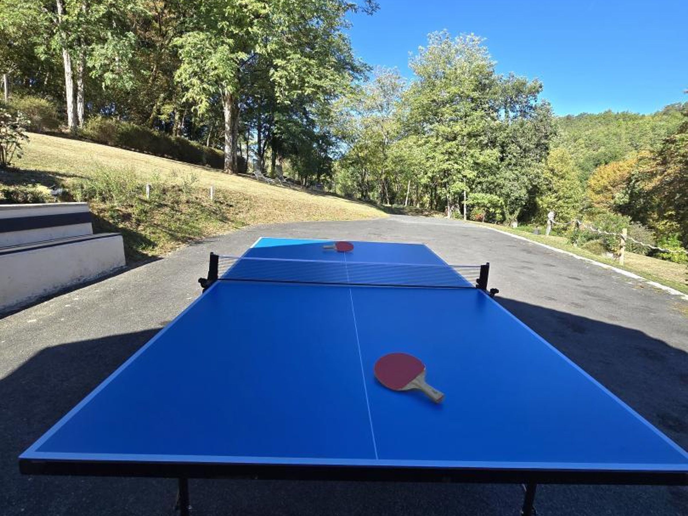 A blue ping pong table with a paddle in the foreground, set against a backdrop of trees and a clear sky.