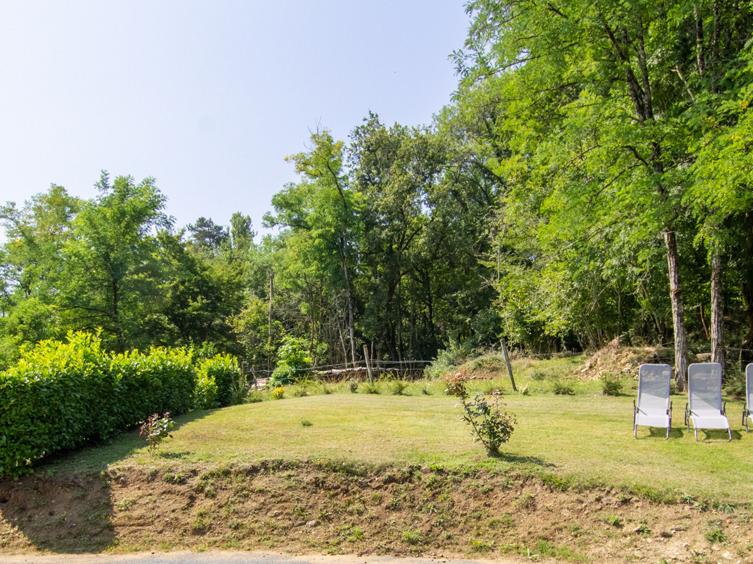 A grassy outdoor area with trees and a fence. There are two chairs visible.