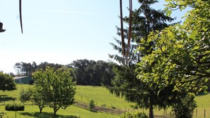 A grassy field with trees and a building in the background.